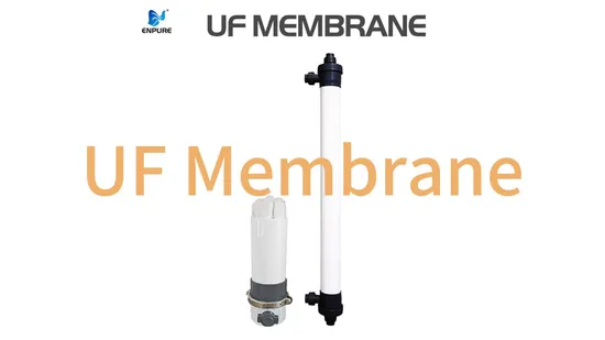 6000phl High Salt Rejection Industrial Water Purification Machine Microfiltration/Ultrafiltration/Nanofiltration/Mbr/UF Membrane for Water Treatment Plant